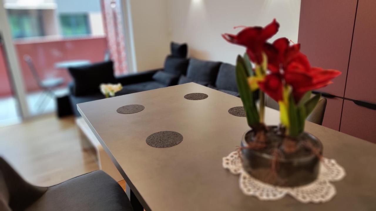Apartment Ozare Slovenj Gradec Dış mekan fotoğraf